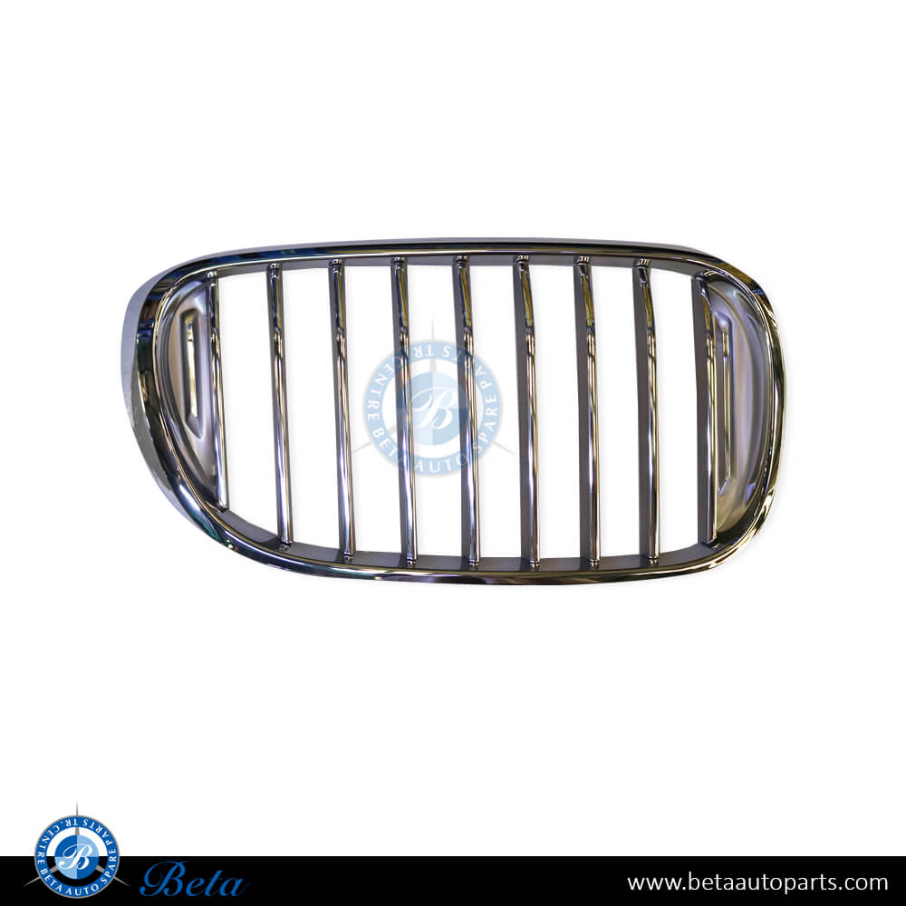 Right Side Radiator Grille - Pure Excellence for BMW 7 Series G11/G12 2016-2019 models, Part Number 51137369904 Right Side Radiator Grille - Pure Excellence for BMW 7 Series G11/G12 2016-2019 models, Part Number 51137369904